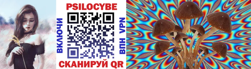 дарнет шоп  kraken зеркало  Псилоцибиновые грибы Cubensis  Усть-Илимск 