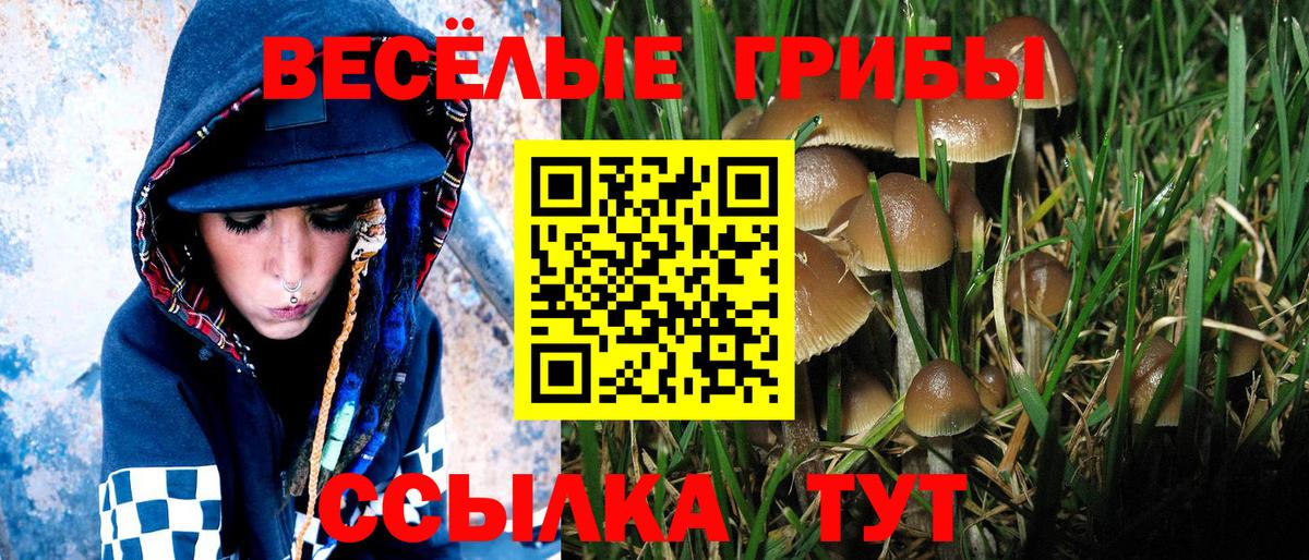 Галлюциногенные грибы мухоморы Усть-Илимск