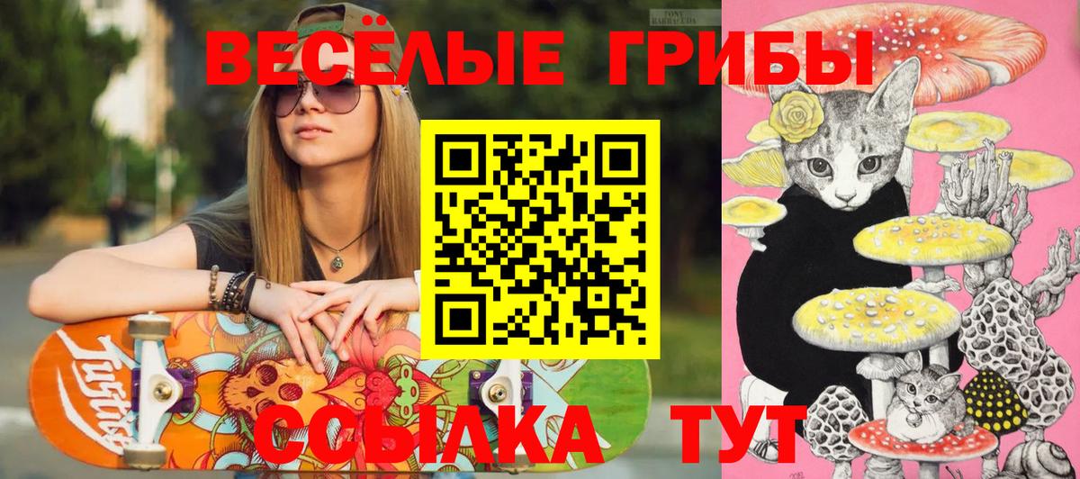 Галлюциногенные грибы GOLDEN TEACHER  Вход с VPN  Псилоцибиновые грибы GOLDEN TEACHER  Усть-Илимск 
